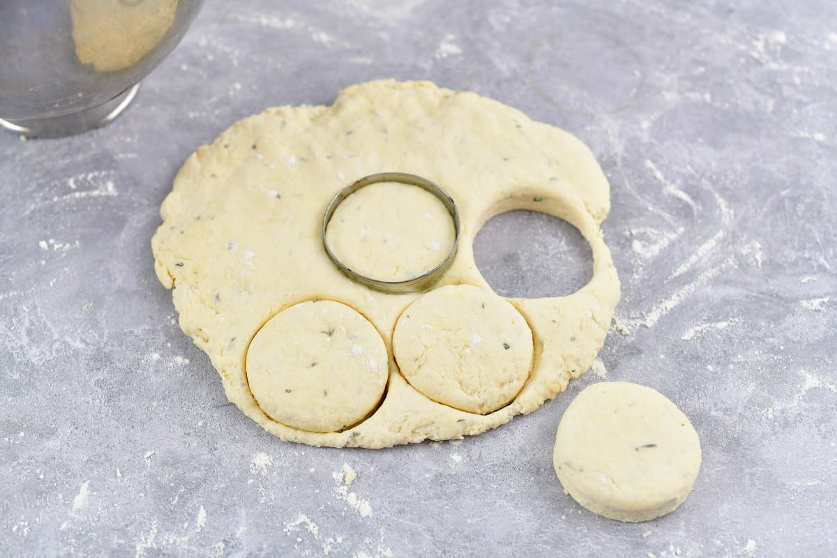 cutting out biscuits from the dough with cookie cutter