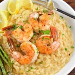 closeup of lemon risotto topped with shrimp
