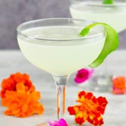 front view of the daiquiri in a tall glass with flowers