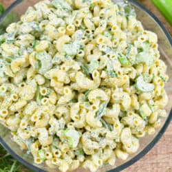 squared close up image of green macaroni salad