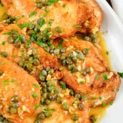 top view of chicken piccata in sauce on a plate