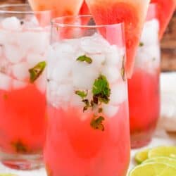 front view of watermelon mojito garnished