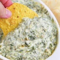 closeup of scooping spinach dip with a chip.