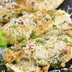 closeup of stuffed chicken breasts with parmesan.