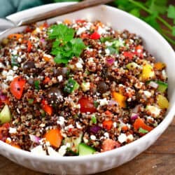 closeup of just the bowl filled with Mediterranean quinoa salad.