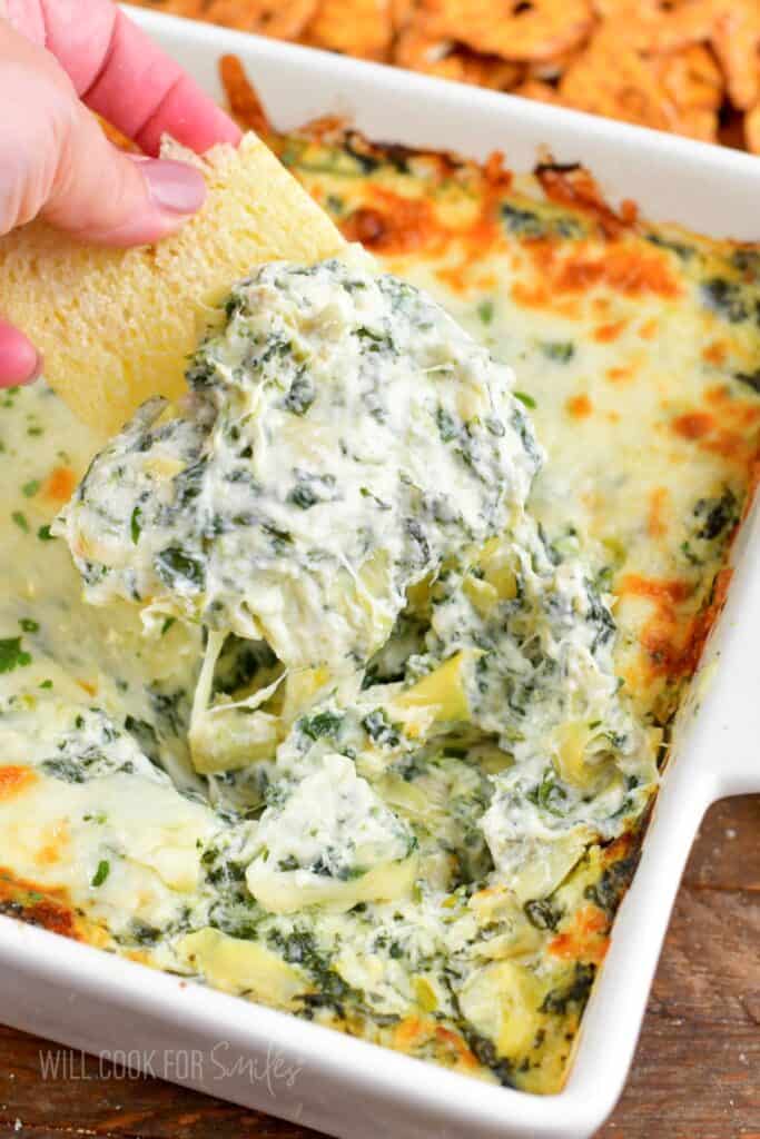 holding some spinach artichoke dip with a cracker.