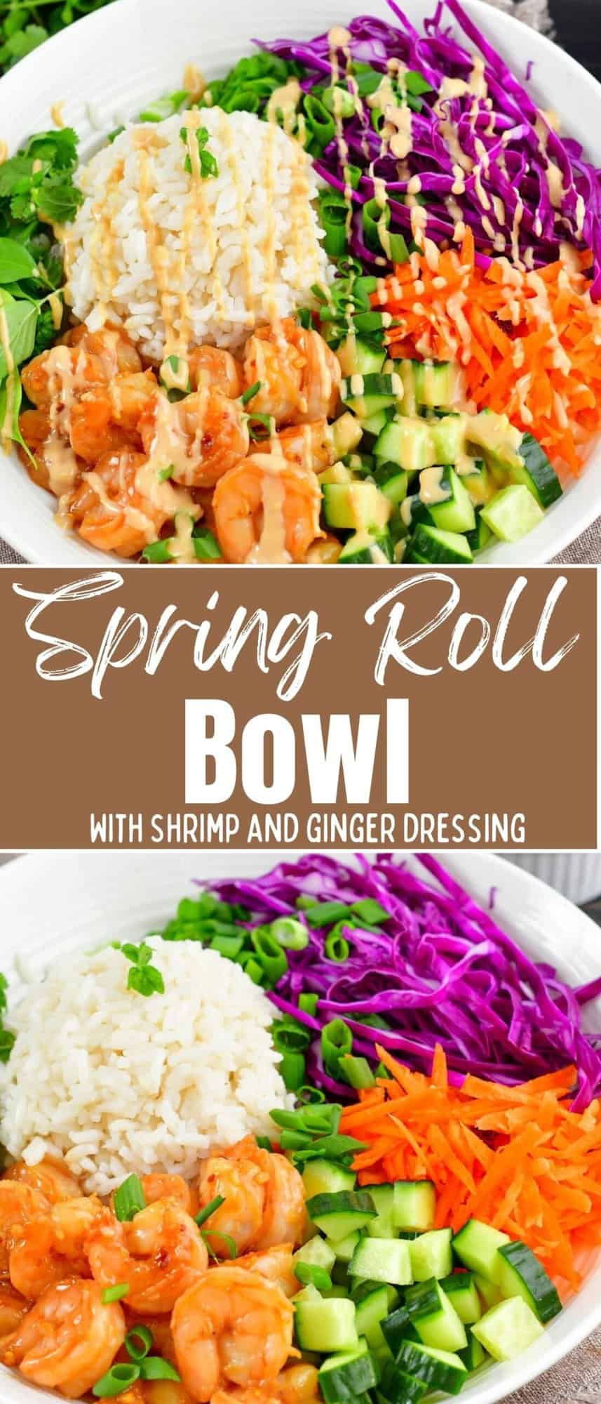 collage of two closeup images of spring roll rice bowl and title.