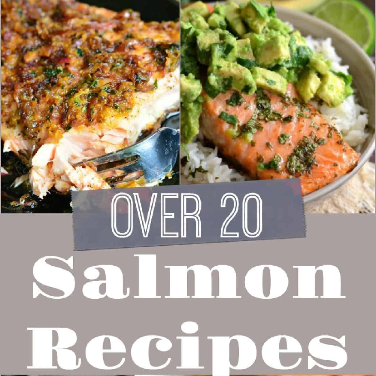 Salmon Recipes - Over 20 Recipes That Take 30 Minutes or Less