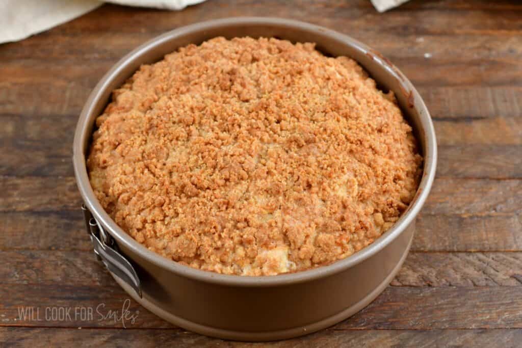 baked apple cake in the springform.