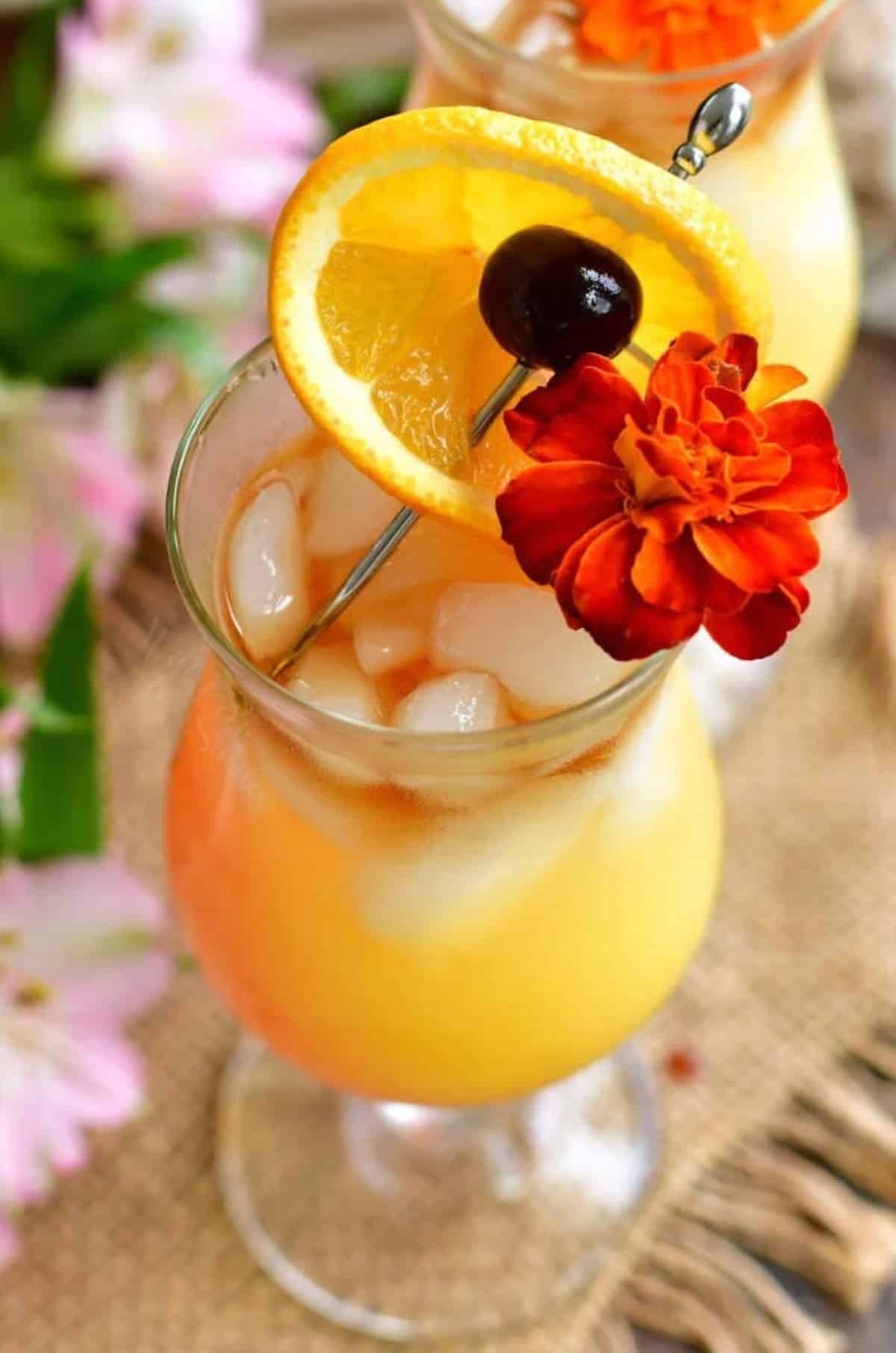 yellow cocktail in the glass with close up view of the flower and orange slice with cherry garnish.