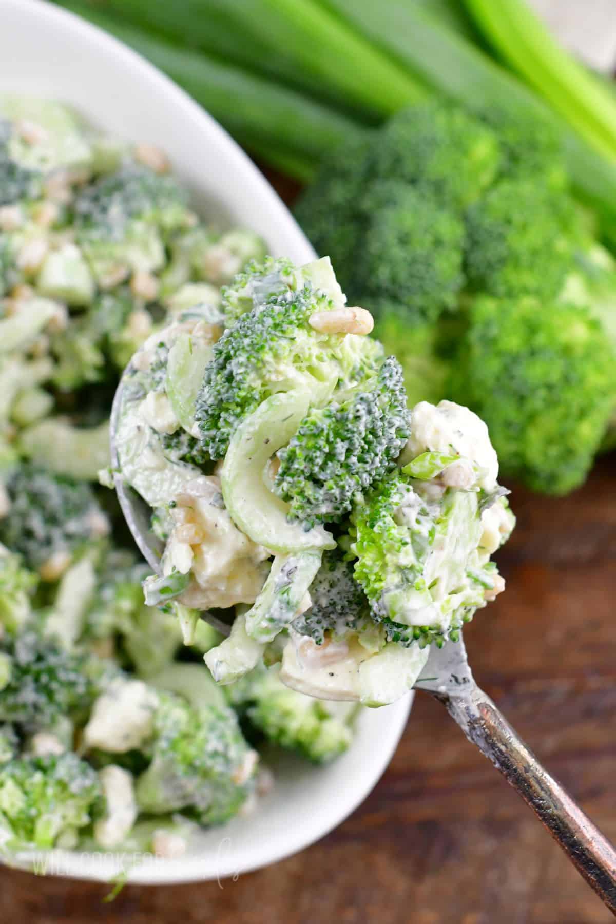 A spoon is lifting a portion of broccoli salad above the bowl. 