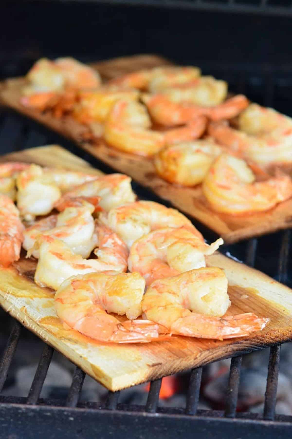 Shrimp are cooking on a cedar plank on the grill. 