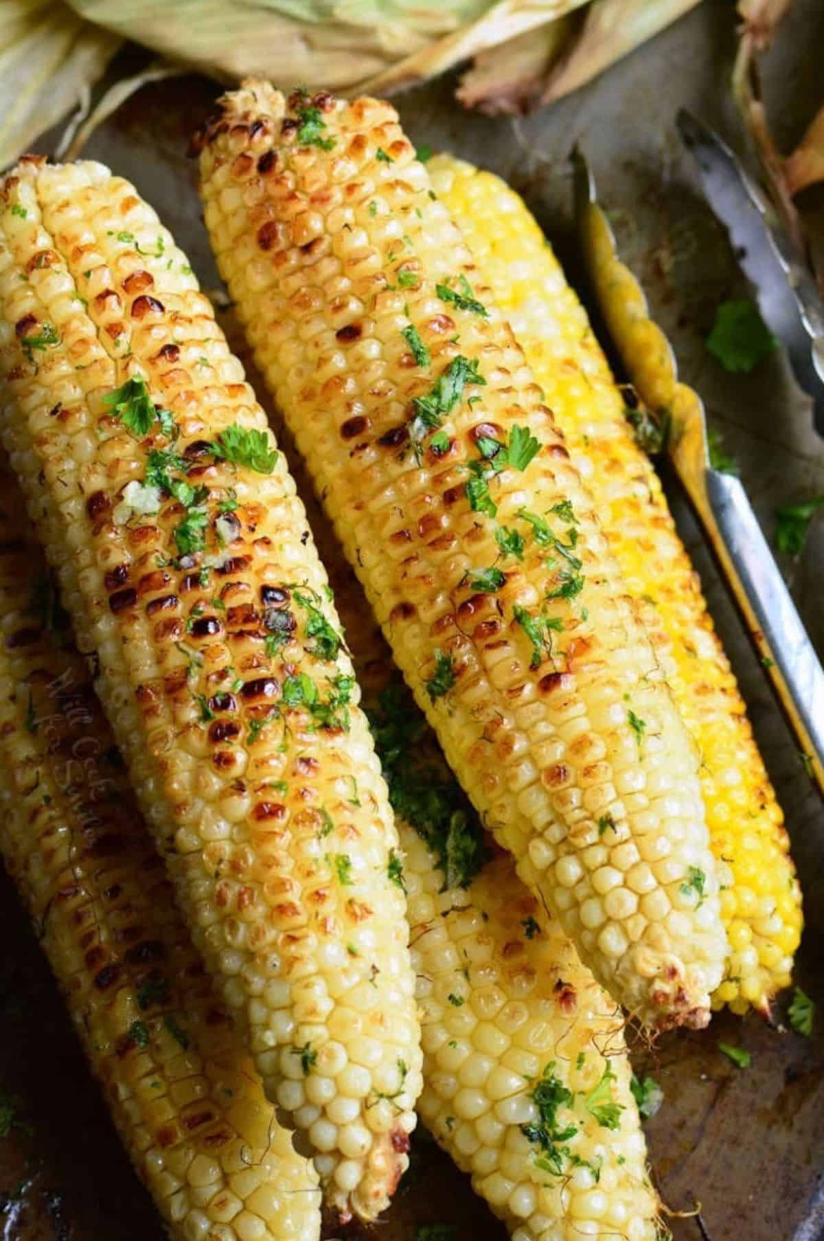 Several grilled cobs of corn are garnished with fresh herbs. 