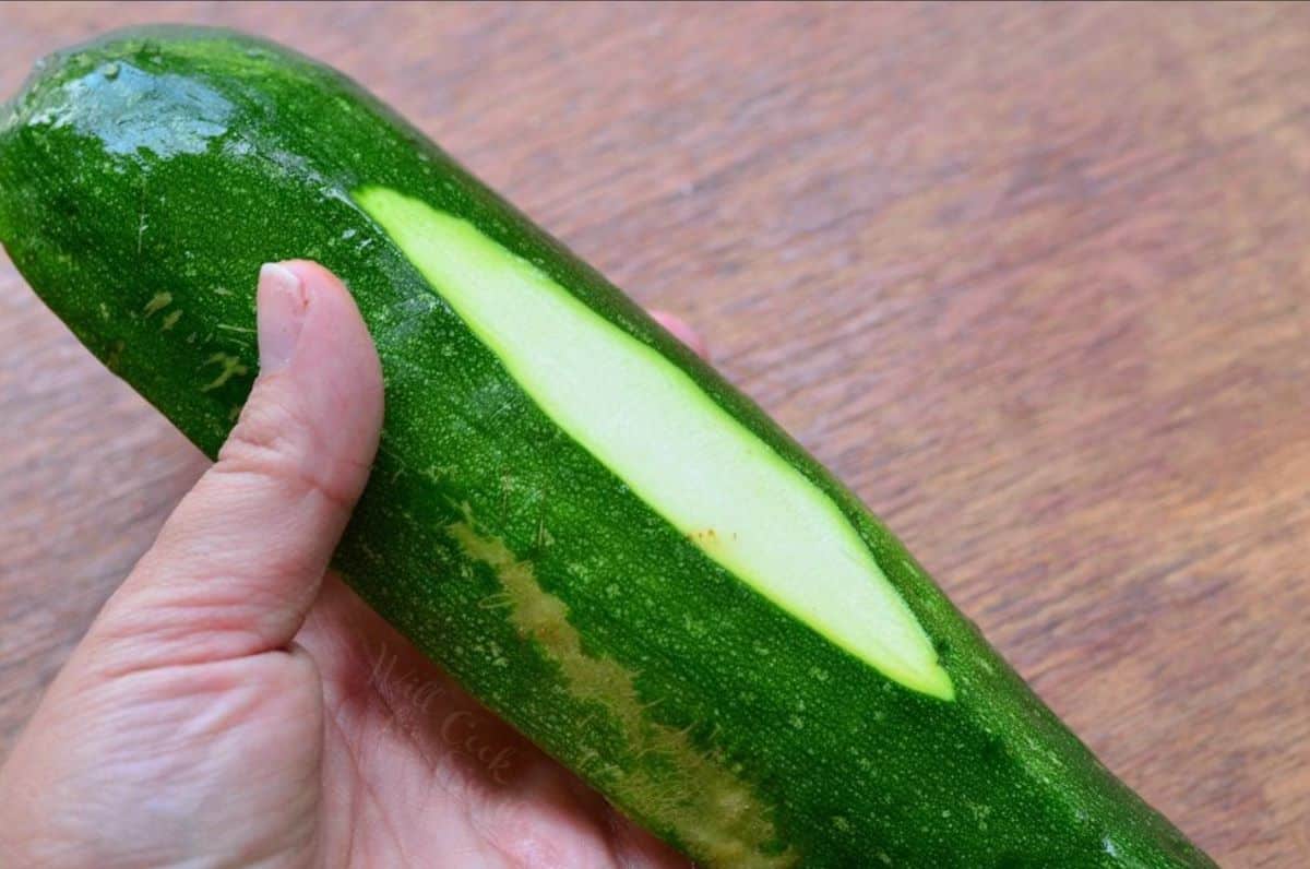 hodling zucchini half with a thin slice on the bottom.