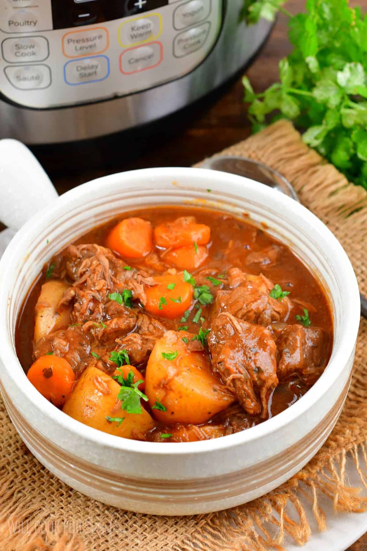 beef strew in a bowl.