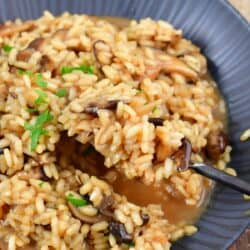 mushroom risotto in a bowl with a fork scooping it out.