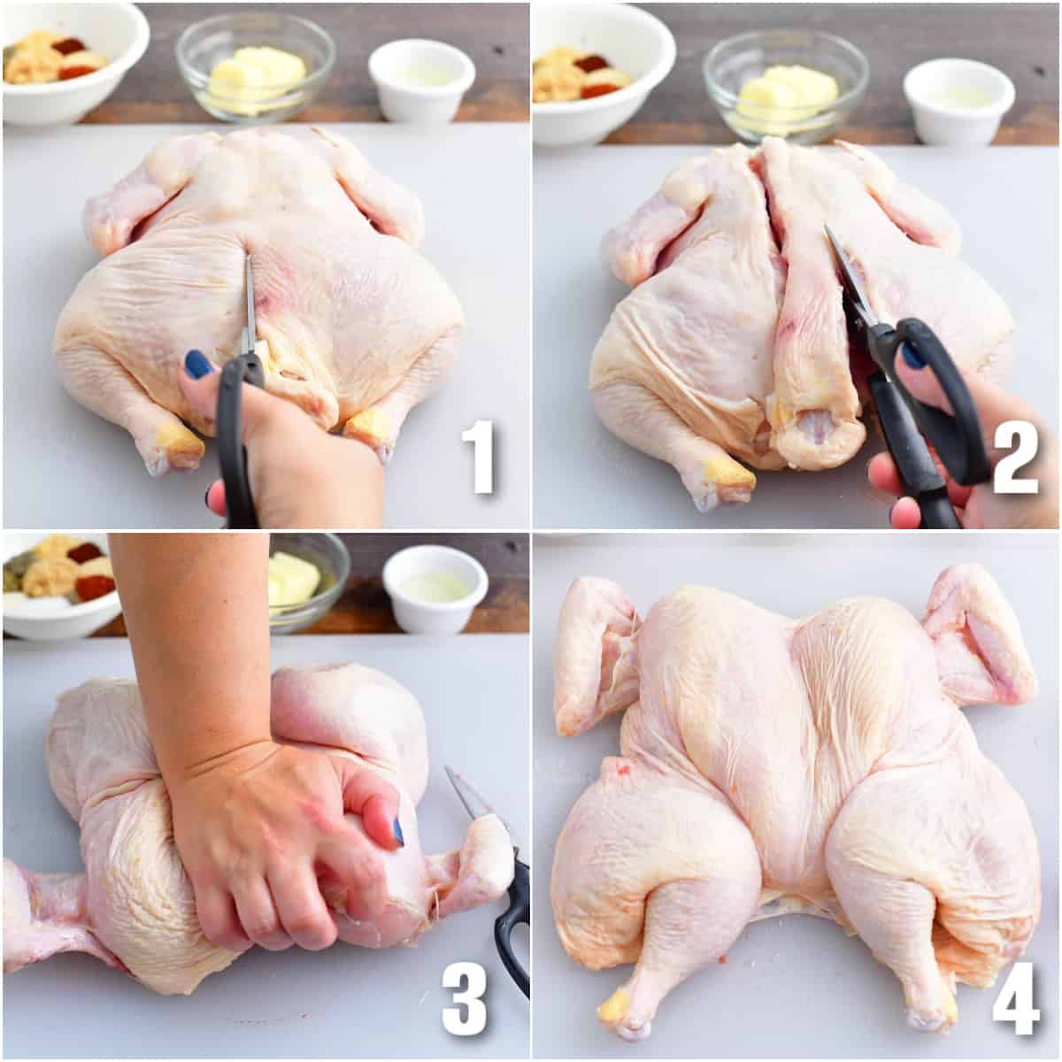 collage of breaking down the whole chicken to make spatchcock chicken.