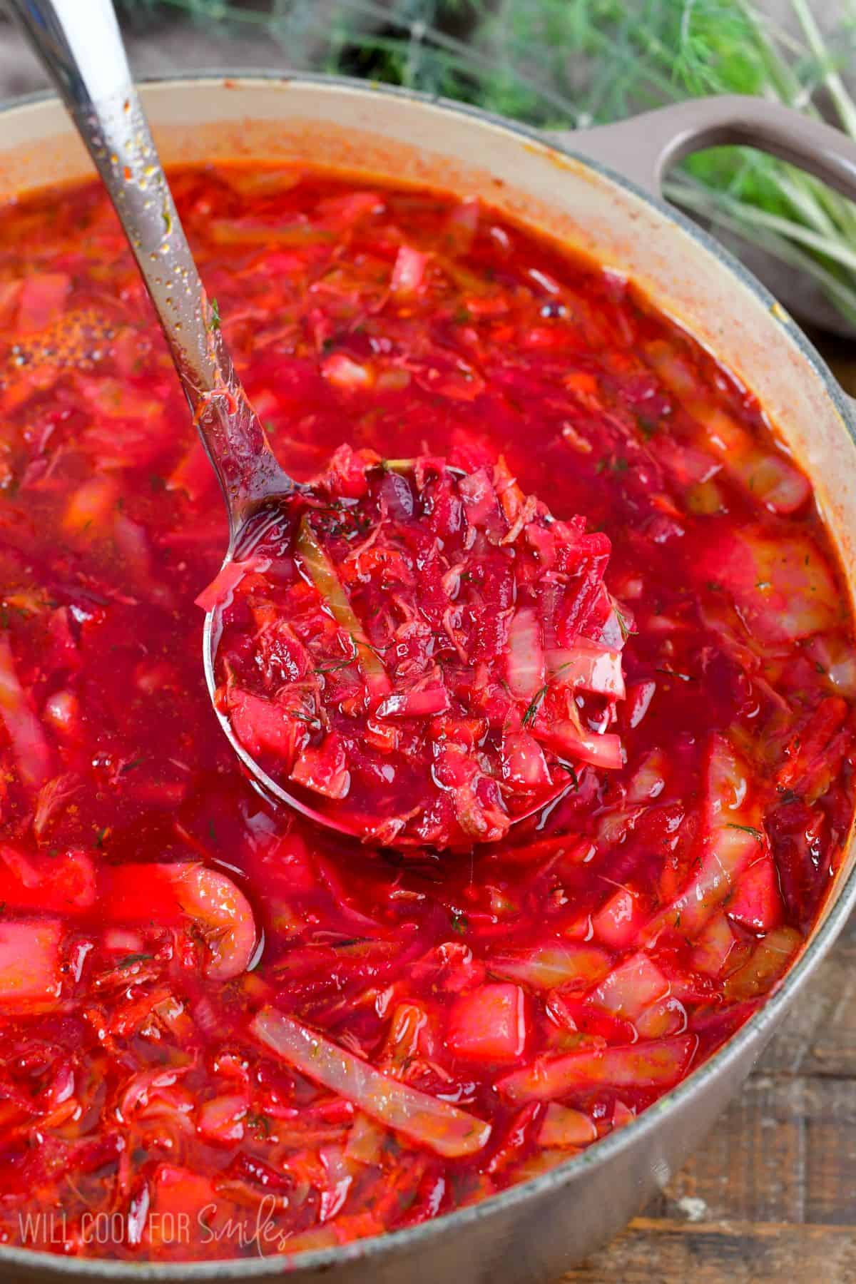 borscht soup in a pot with a ladle scoop of soup being lifted out.