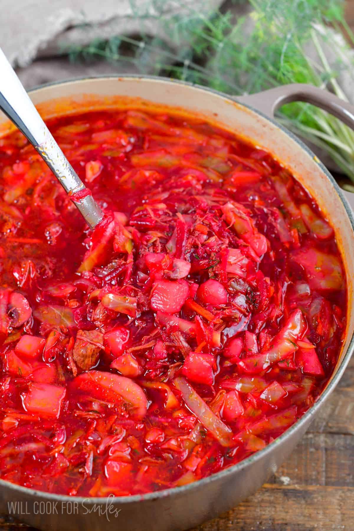 borscht soup in a stock pot with a metal ladle scooping some of the soup out.