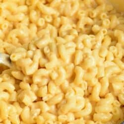 creamy macaroni with cheese sauce in the white Dutch oven.