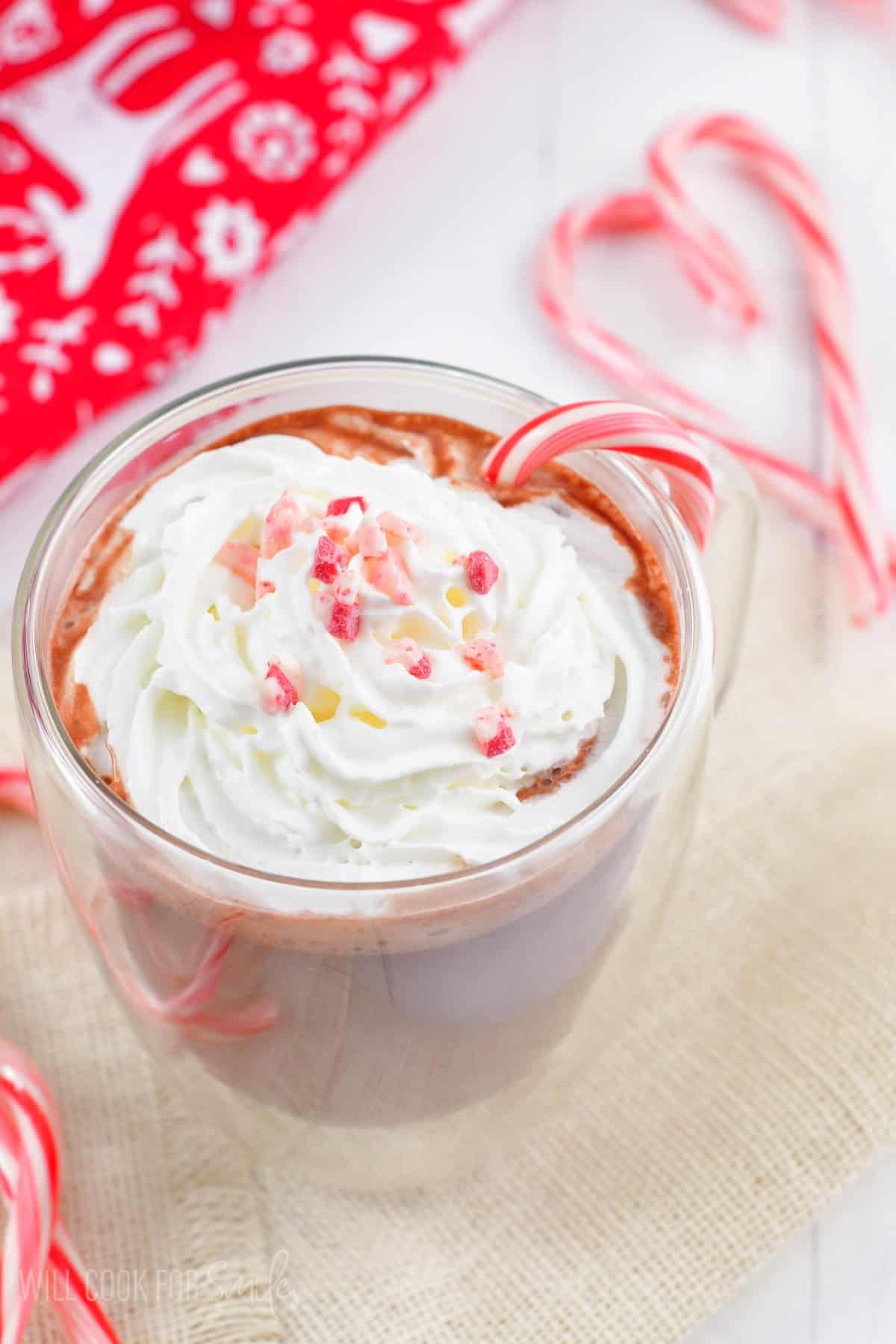 a glass mug of hot chocolate topped with whipped cream, peppermint crunch, and candy canes around.