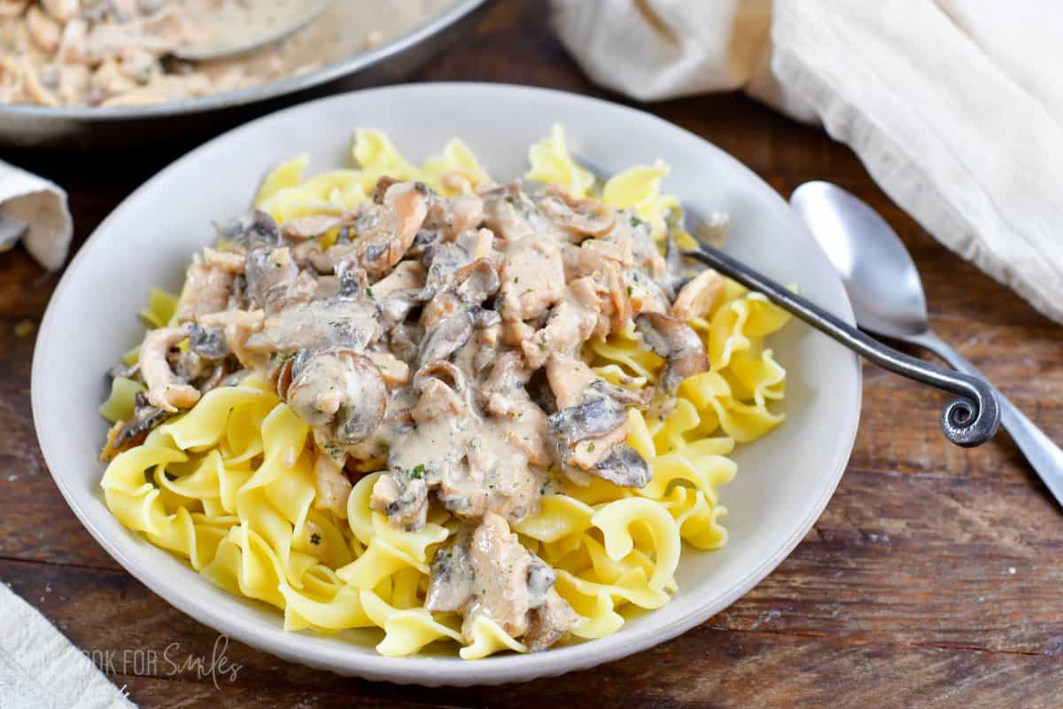 chicken stroganoff in a bowl over egg noodles.