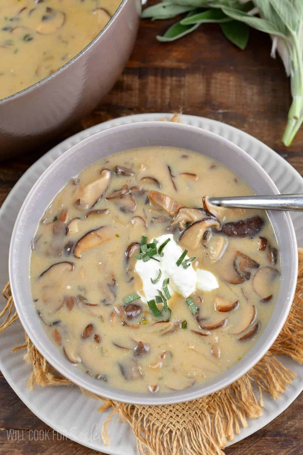 creamy mushroom soup in a grey bowl and plate topped with sour cream on top.