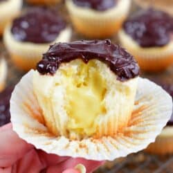 Holding a Boston cream cupcake with a bite taken out of it.