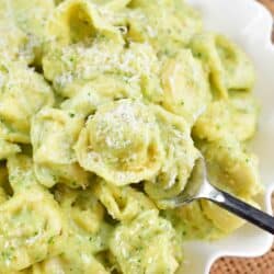 Pesto Alfredo Tortellini in a bowl scooping some of it up with a fork.