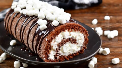 Hot-Chocolate-Cake-Roll-with-