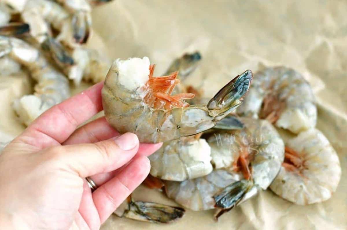 Holding a whole shrimp while the rest of the shrimp are on parchement paper.