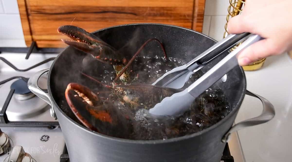 adding lobster to the boiling pot of water using tongs.