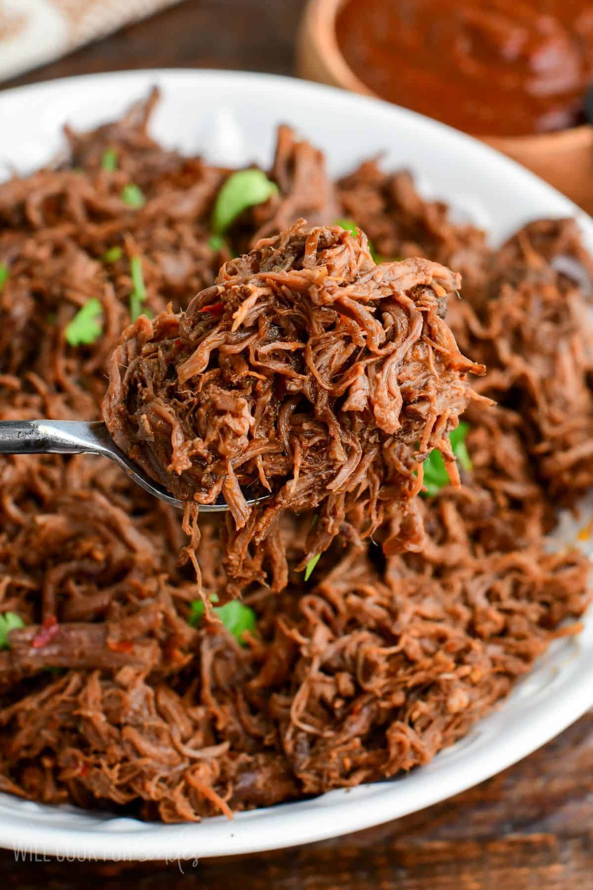 holding some juicy and tender shredded short ribs meat in homemade chili sauce on a fork.