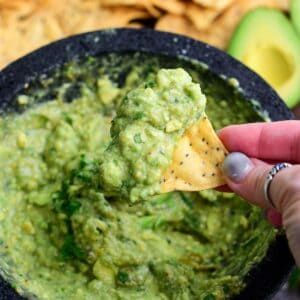 some Oaxacan guacamole scooped onto the tortilla chip.