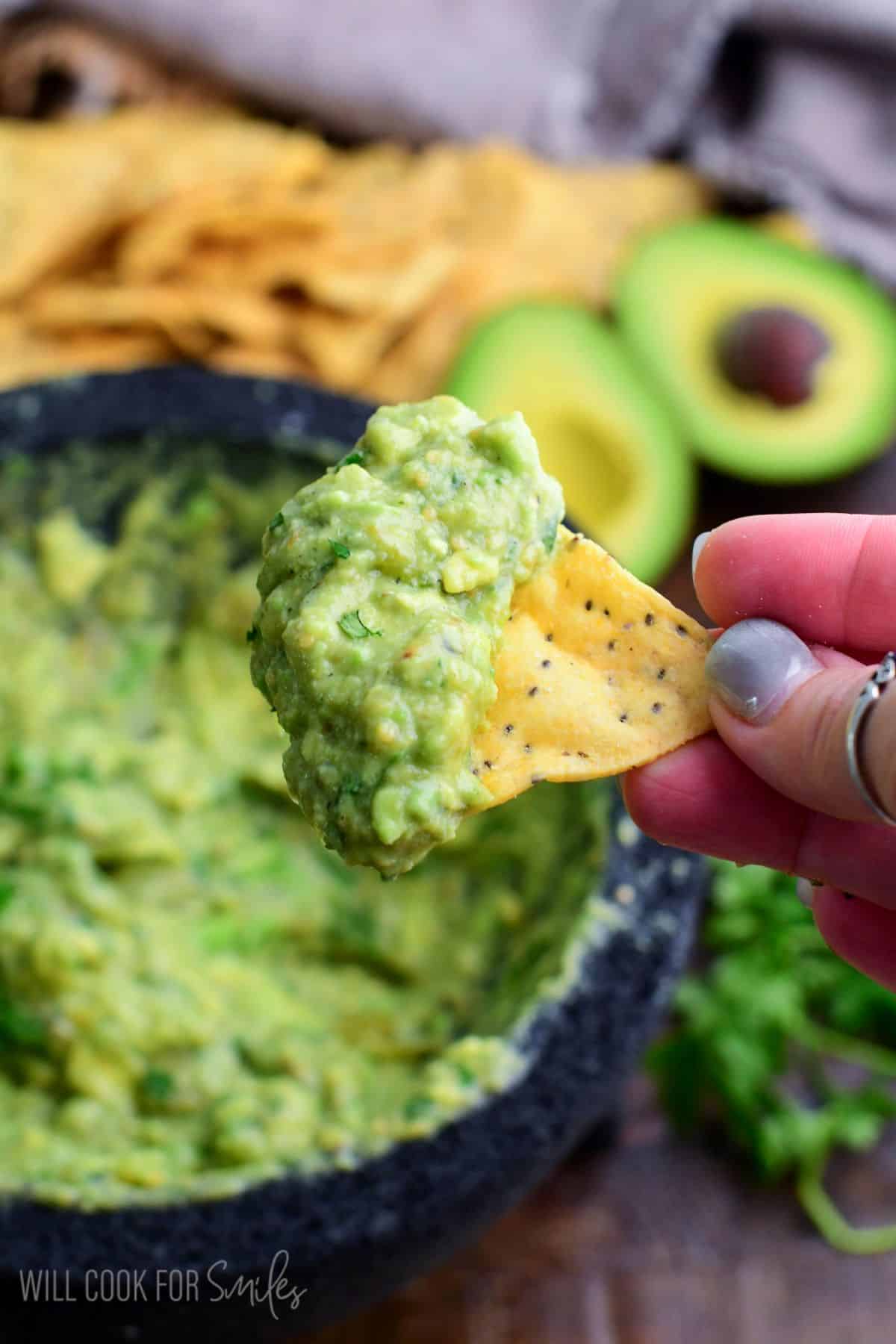 holding a tortilla chip with some Oaxacan guacamole on it.